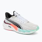 Férfi futócipő PUMA Velocity Nitro 4 Hyrox puma fehér / menta