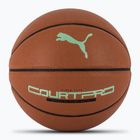 PUMA teamJAWS Court Pro kosárlabda bőr barna/sötét árnyék 7-es méret