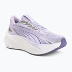 Futócipők Puma Maxima Pro light lavender/plum purple