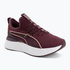 Női cipők Buty Puma Softride Sabrina ruby noir/dusky rose