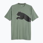 Férfi edzőpóló PUMA Train All Day Big Cat eukaliptusz/puma fekete