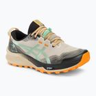 Férfi futócipő ASICS Gel-Trabuco 12 feather grey/dark mint