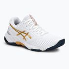 ASICS női cipő Netburner Ballistic FF 3 fehér/tiszta arany