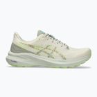 ASICS GT-1000 13 TR férfi futócipő természetfürdő/lime zöld