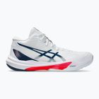 ASICS férfi Sky Elite FF MT 3 fehér/maco kék cipő