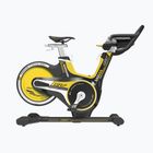 Indoor Cycle Horizon Fitness GR7+ IDC konzolos 100914