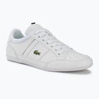Férfi cipő Lacoste 42CMA0014 white/black