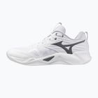Röplabda cipő Mizuno Wave Momentum Pro white/metallic gray/black