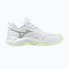 Női röplabda cipő Mizuno Wave Momentum Pro white/aqua gray/ambrosia