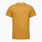 Férfi túrapóló REGATTA Mindoi Anti Insect wood brown