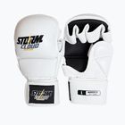 Grappling kesztyűk StormCloud Hurricane white/black