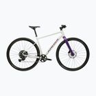 Gravel kerékpár KROSS Esker 1.0 FL grey/purple/gloss