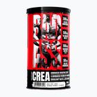 Fitness Authority Bad Ass Crea 300 g egzotikus 300 g egzotikus