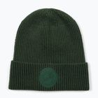 Téli sapka Pitbull Beanie San Diego Ca dark green