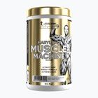 Edzés előtti étrend-kiegészítő Fitness Authority Levrone Gold Maryland Muscle Machine 385 g fruit punch