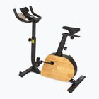 Elektromos kerékpár XTREXO EB400 black