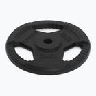 Öntöttvas súly TREXO TRX-ICP010 10 kg króm