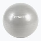 TREXO Gymball TXO-B4Z007-GY 55 cm szürke