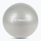 TREXO Gymball TXO-B4Z009-GY 75 cm szürke