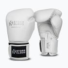 Bokszkesztyűk StormCloud Muay Thai Blizzard 2.0 white/silver