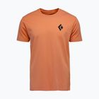 Férfi Black Diamond Equipmnt For Alpinist SS Tee moab barna