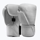 Bokszkesztyűk Hayabusa T360 Leather white