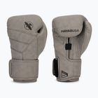 Hayabusa T3 LX pala boxkesztyű