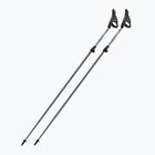 Nordic walking botok Fizan Carbon Pro Impulse grey