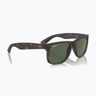 Napszemüveg Ray-Ban Justin Classic havana/sötétzöld polarizált