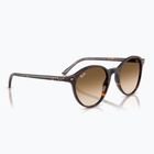 Napszemüveg Ray-Ban Bernard havana/brown gradient