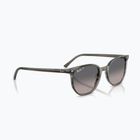 Napszemüveg Ray-Ban Elliot grey/grey gradient polarized
