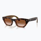 Kamerás szemüveg Ray-Ban Meta Zena havana/gradient brown