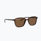 Napszemüveg Ray-Ban Leonard tortoise/brown polarized