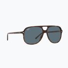 Napszemüveg Ray-Ban Bill havana/blue