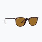 Napszemüveg Ray-Ban Elliot havana brown/black polarized