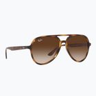 Napszemüveg Ray-Ban RB4376 havana/brown gradient