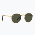 Napszemüveg Ray-Ban New Round gold/green