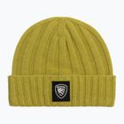 Téli sapka Blauer USA Cutter citrus wax