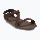 Férfi mezítlábas szandálok Xero Shoes Z-Trek barna