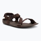 Férfi mezítlábas szandálok Xero Shoes Z-Trek barna