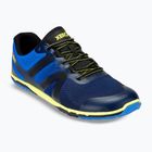 Férfi barefoot cipő Xero Shoes HFS II blue/aster