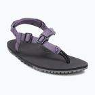 Női mezítlábas szandál Xero Shoes H-Trail zsálya lila HTW-SGPU