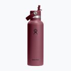 Termosz palack Hydro Flask Standard Flex 621 ml burgundy