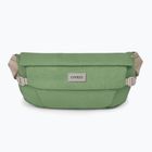 Osprey Arcane Hip 2 l botanica vesetasak