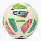 Focilabda Joma Dinamic IV fluor green/navy méret: 5
