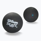 Wilson Staff Ball Blue Dot squash labdák 12 db fekete.