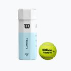 Teniszlabda készlet-3 db. Wilson Triniti Tball sárga WRT125200+
