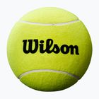 Wilson Roland Garros Jumbo 9" sárga autogramos teniszlabda