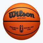 Wilson EVO NXT Africa League kosárlabda barna 7-es méret
