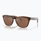Oakley Frogskins matt teknőc/prizm tungsten napszemüveg